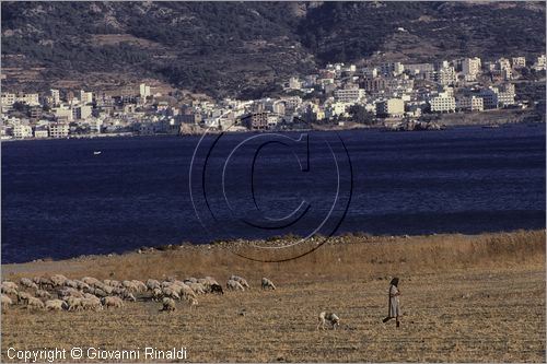 GREECE (Dodecanese) Karpathos Island - GRECIA (Dodecanneso) Isola di Scarpanto - Vronti Bay e dietro Pigadia