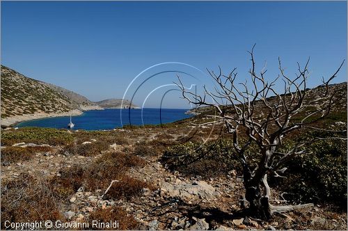 GRECIA - GREECE - Isole Cicladi - Levitha