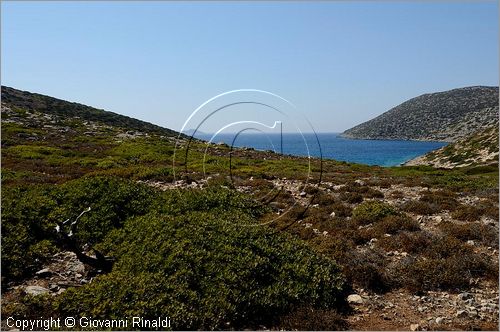 GRECIA - GREECE - Isole Cicladi - Levitha