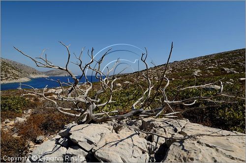 GRECIA - GREECE - Isole Cicladi - Levitha