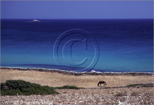 GREECE - Dodecanneso - Isola di Lipsi (Lipsoi) - la costa sud-orientale