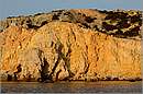 koufonisia_11Y_0945mini.jpg