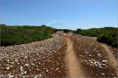 GRECIA - GREECE - Isole Strofadi - Strofadhes Islans - Nisis Arpia