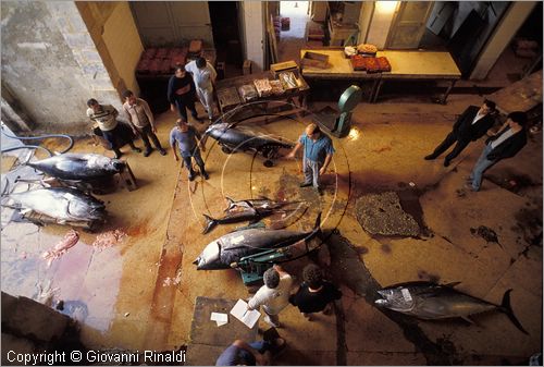 MALTA - MALTA ISLAND - Valletta - Barriera Wharf - Fishmarket - asta del pesce