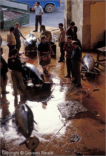 MALTA - MALTA ISLAND - Valletta - Barriera Wharf - Fishmarket - asta del pesce