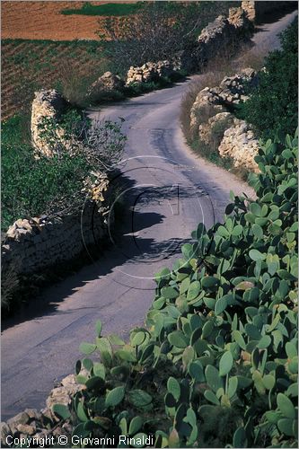 MALTA - MALTA ISLAND - campagna presso Zurrieq