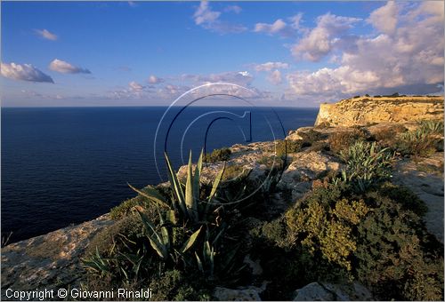 MALTA - GOZO ISLAND - le scogliere di Ta' Cenc sulla costa meridionale