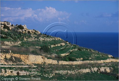 MALTA - GOZO ISLAND - veduta da Qala