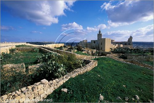 MALTA - GOZO ISLAND - Victoria (Rabat) - la Cittadella