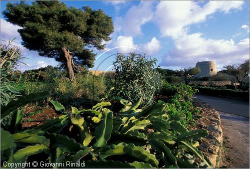 MALTA - GOZO ISLAND - Sannat - Hotel Ta' Cenc