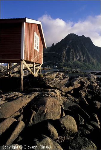 NORWAY - NORVEGIA - ISOLE LOFOTEN - Svolvaer - tipiche rorbu (case dei pescatori) - Svinoya Rourbuer in affitto