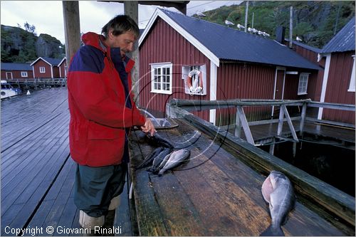 NORWAY - NORVEGIA - ISOLE LOFOTEN - Flakstad - Nusfjord