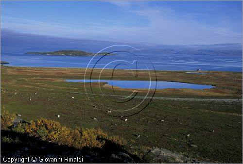 NORWAY - NORVEGIA - panorama sulla strada tra Kafjord e Repvag sul Porsangerfjord