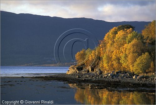 NORWAY - NORVEGIA - Alta - panorama autunnale sul Altafjorden