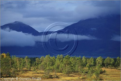 NORWAY - NORVEGIA - panorama sulla strada tra Tromso e Narwik