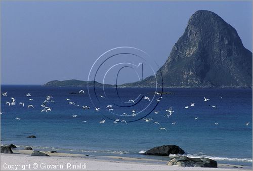 NORVEGIA - ISOLE VESTERALEN (Norway - Vesteralen) - Isola di Andoya - Bleik - la spiaggia