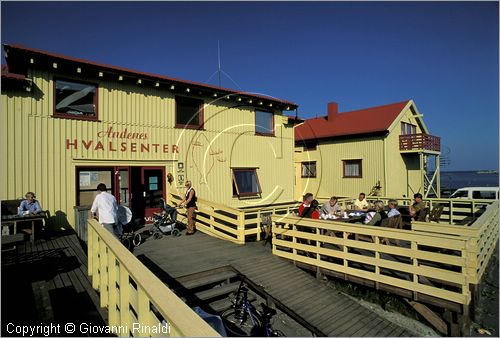 NORVEGIA - ISOLE VESTERALEN (Norway - Vesteralen) - Isola di Andoya - Andenes - Whale Center