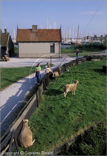 NETHERLANDS - OLANDA - Ijsselmeer (Zuiderzee) - Enkhuizen - Zuiderzee Museum - museo all'aperto: ricostruzione di un villaggio di pescatori della fine dell'800