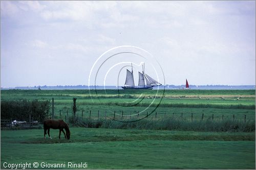 NETHERLANDS - OLANDA - Ijsselmeer (Zuiderzee) - Isola di Marken - il livello delle acque  pi alto di quello della terra e le barche smbrano navigare sui prati