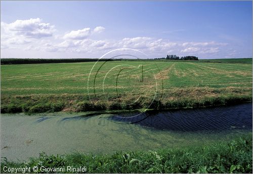 NETHERLANDS - OLANDA - Ijsselmeer (Zuiderzee) - paesaggio