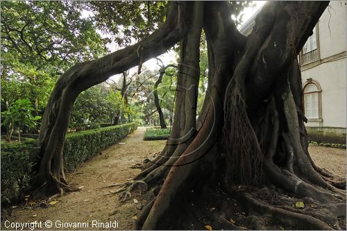 PORTUGAL - LISBON - LISBOA - PORTOGALLO - LISBONA - Jardim Botanico