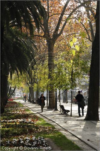 PORTUGAL - LISBON - LISBOA - PORTOGALLO - LISBONA - Avenida da Liberade