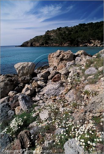 SPAIN - BALEARES MENORCA (Balearic - Minorca island) - Cala Algairens sulla costa nord