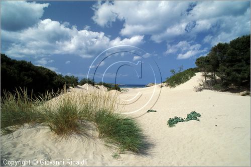 SPAIN - BALEARES MENORCA (Balearic - Minorca island) - Arenal de Son Saura presso Son Parc sulla costa sud-ovest