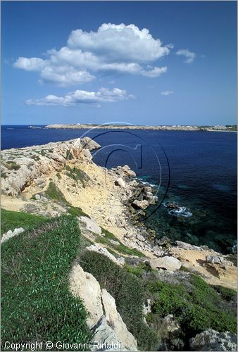 SPAIN - BALEARES MENORCA (Balearic - Minorca island) - Cap Gros presso Son Parc