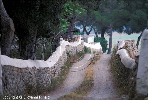 SPAIN - BALEARES MENORCA (Balearic - Minorca island) - tipici muretti nelle campagne