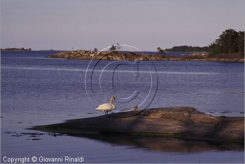 SWEDEN - Skargardens - SVEZIA - Arcipelago di Stoccolma - Moja - Lokao