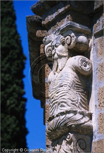 "LA SCARZUOLA E LA CITTA' BUZZIANA"
Montegabbione (TR)
A fianco del convento Francescano della Scarzuola, l'architetto Tommaso Buzzi nel 1956 progett ed edific la sua "Citt Ideale", concepita come una Grande Macchina Teatrale piena di simbolismi ed allegorie.
Il Teatro dell'Arnia
particolare