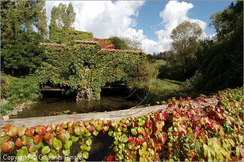 ITALY - MARTA (VT) - Giardino della Cannara - ricavato dai coniugi Mirella e Massimo Faggiani intorno alla loro casa, un'antica peschiera sul fiume Marta forse di origine etrusca.