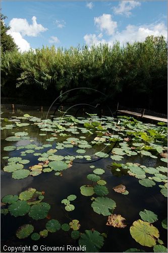 ITALY - MARTA (VT) - Giardino della Cannara - ricavato dai coniugi Mirella e Massimo Faggiani intorno alla loro casa, un'antica peschiera sul fiume Marta forse di origine etrusca. ninfee