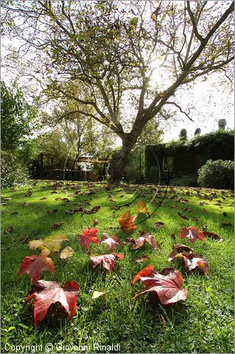 ITALY - MARTA (VT) - Giardino della Cannara - ricavato dai coniugi Mirella e Massimo Faggiani intorno alla loro casa, un'antica peschiera sul fiume Marta forse di origine etrusca.