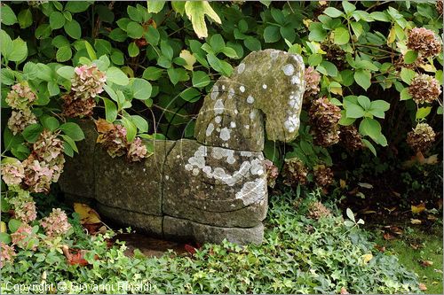 ITALY - MARTA (VT) - Giardino della Cannara - ricavato dai coniugi Mirella e Massimo Faggiani intorno alla loro casa, un'antica peschiera sul fiume Marta forse di origine etrusca.