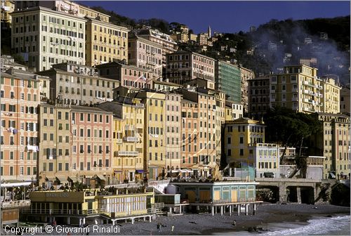 ITALY - LIGURIA - CAMOGLI (GE) - la tipica palazzata a mare