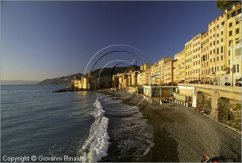 ITALY - LIGURIA - CAMOGLI (GE) - veduta della palazzata e della spiaggia - in fondo la Basilica di Santa Maria Assunta