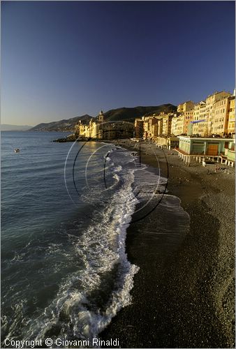 ITALY - LIGURIA - CAMOGLI (GE) - veduta della palazzata e della spiaggia - in fondo la Basilica di Santa Maria Assunta