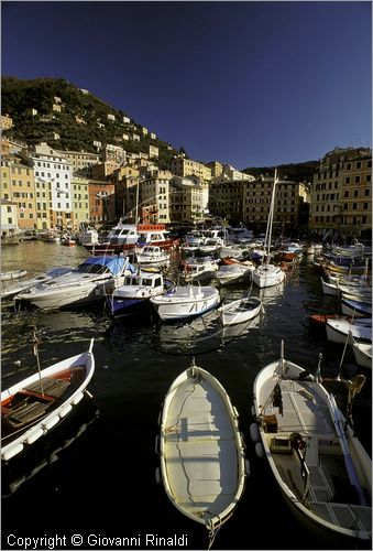 ITALY - LIGURIA - CAMOGLI (GE) - veduta del Porticciolo