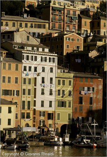 ITALY - LIGURIA - CAMOGLI (GE) - veduta del Porticciolo