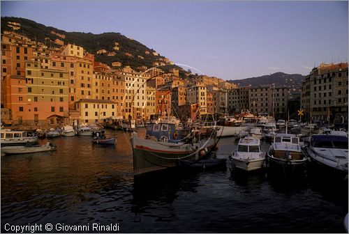 ITALY - LIGURIA - CAMOGLI (GE) - veduta del Porticciolo al tramonto