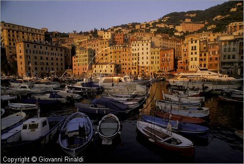 ITALY - LIGURIA - CAMOGLI (GE) - veduta del Porticciolo al tramonto