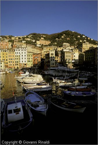 ITALY - LIGURIA - CAMOGLI (GE) - veduta del Porticciolo