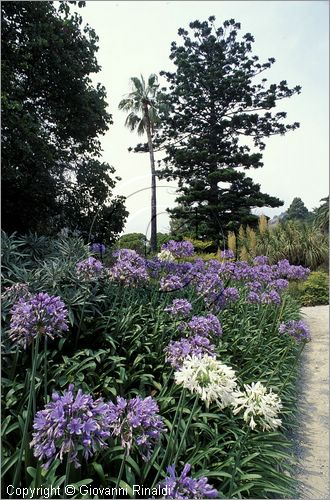 ITALY - LIGURIA - (Ventimiglia) (IM) - Giardino Botanico di Villa Hambury