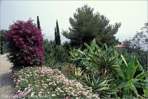 ITALY - LIGURIA - (Ventimiglia) (IM) - Giardino Botanico di Villa Hambury