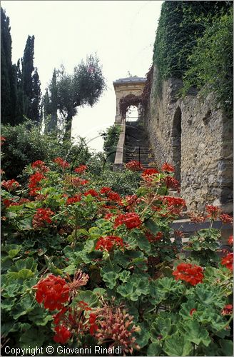 ITALY - LIGURIA - (Ventimiglia) (IM) - Giardino Botanico di Villa Hambury