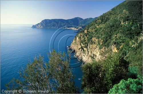 ITALY - LIGURIA - CINQUE TERRE (SP) - La costa verso Monterosso