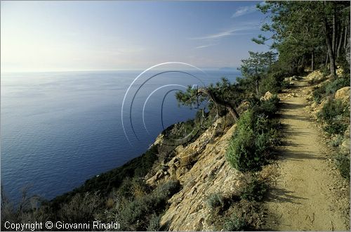 ITALY - LIGURIA - CINQUE TERRE (SP) - sentiero verso Punta del Mesco