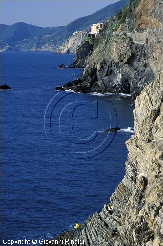 ITALY - LIGURIA - CINQUE TERRE (SP) - tratto di costa tra Manarola e Riomaggiore